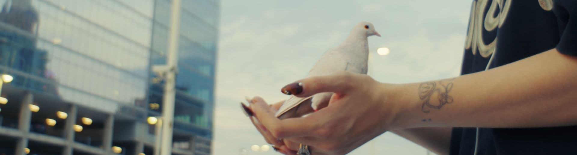 Nate Díaz — El Espíritu Album Reveal